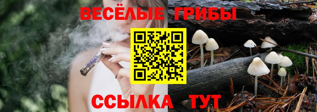 Костомукша  Галлюциногенные грибы Cubensis  Галлюциногенные грибы прущие грибы  Вход с VPN 