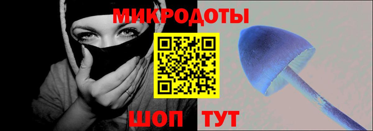 Галлюциногенные грибы Psilocybe Костомукша